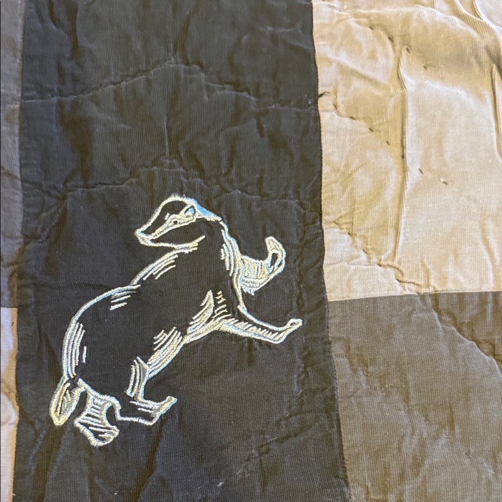 Pottery Barn Teen. Quidditch Quilt Set - Gray - Picture 5 of 10